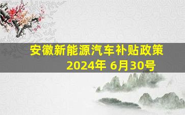 安徽新能源汽车补贴政策2024年 6月30号